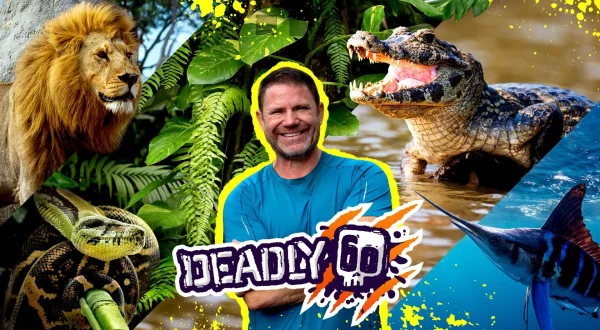 Deadly 60