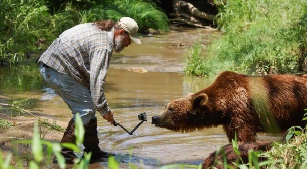 Projekt Grizzly - Jak naučit medvěda lovit ryby