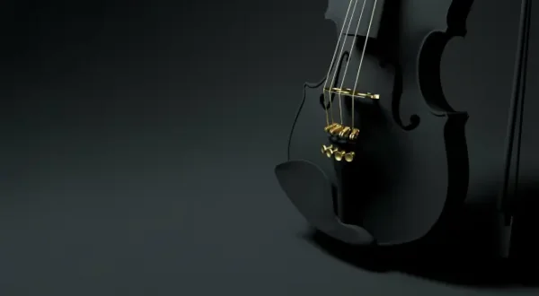 NDR Kultur - Das Konzert