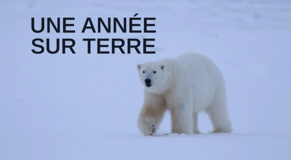 Une année sur Terre