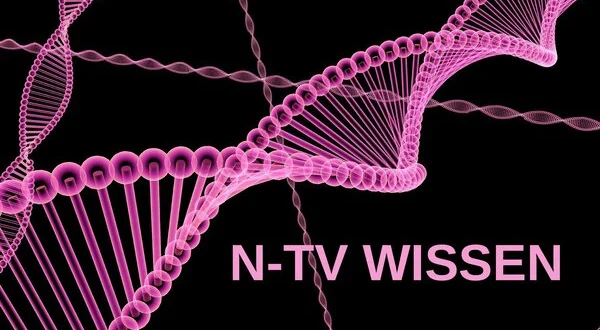 n-tv Wissen