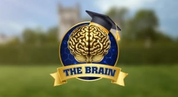 The brain