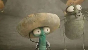 Bienvenue chez les Mouche