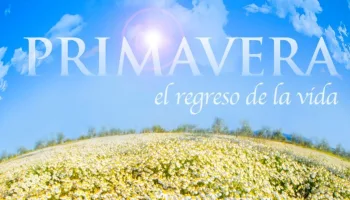 Primavera: El Regreso de la Vida
