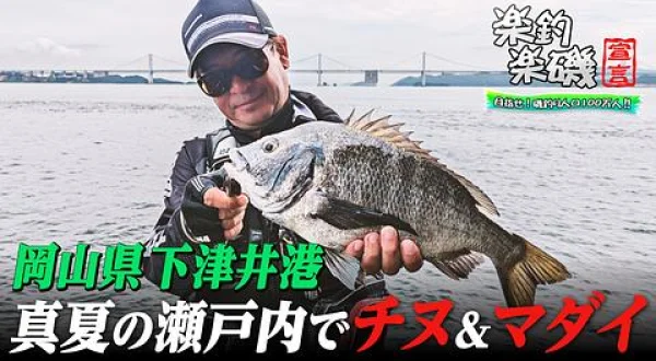 楽釣楽磯宣言 91 真夏の岡山県下津井チヌ&マダイ
