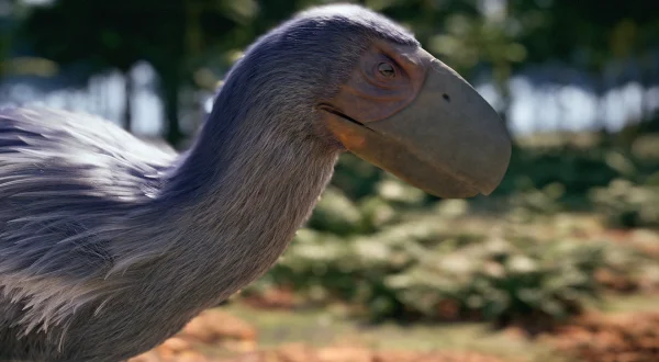 Η Ανοδος των Πτηνών | The Rise of the Birds