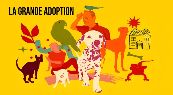 La grande adoption