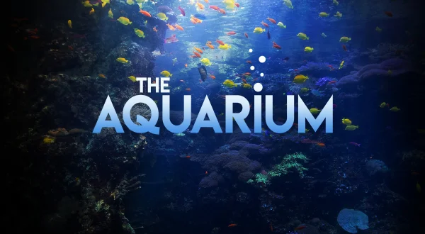 The Aquarium