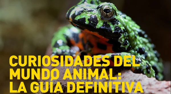Curiosidades del mundo animal: la guía definitiva