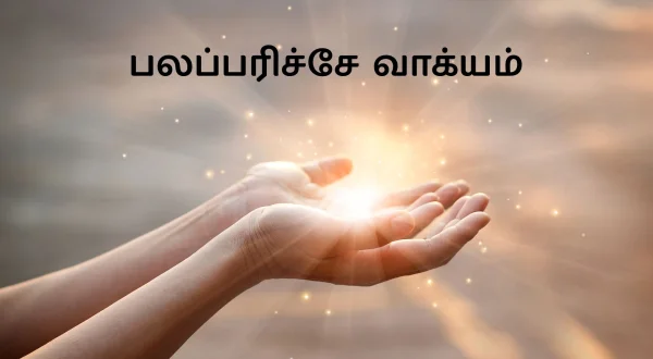 బలపరిచే వాక్యం