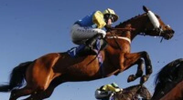 Racing Specials