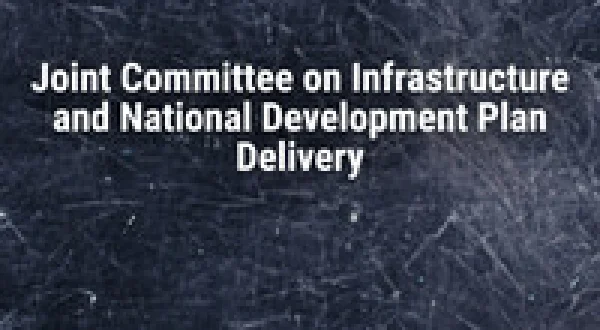 Joint Committee on Infrastructure and National Development Plan Delivery