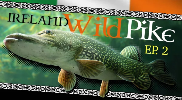 Wild Pike Ireland #2