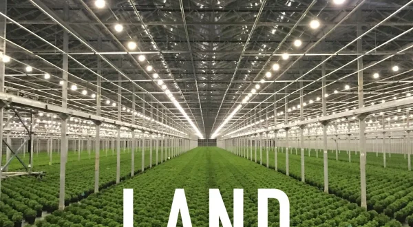Land