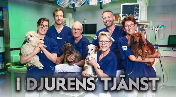 I djurens tjänst