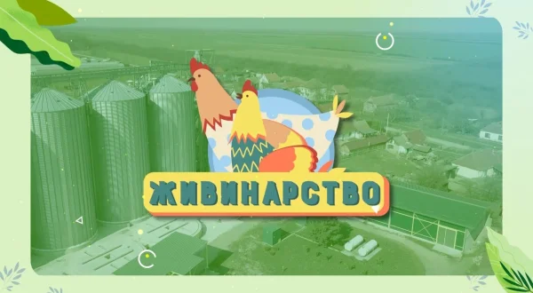 Živinarstvo