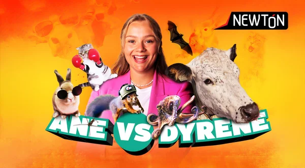 Newton: Ane vs dyrene