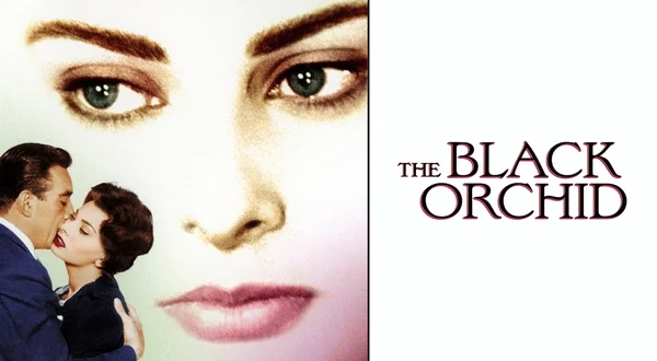 The Black Orchid