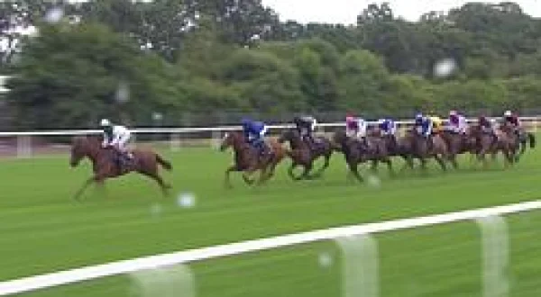 Highlights Of UAE Flat Races