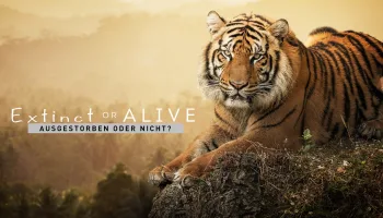 Extinct or Alive – Ausgestorben oder nicht?