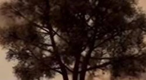 Vakit Nasıl Geçti (Wext Çawa Derbas Bû)