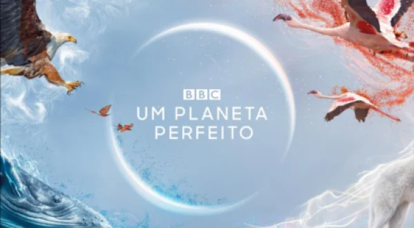 Planeta Perfeito