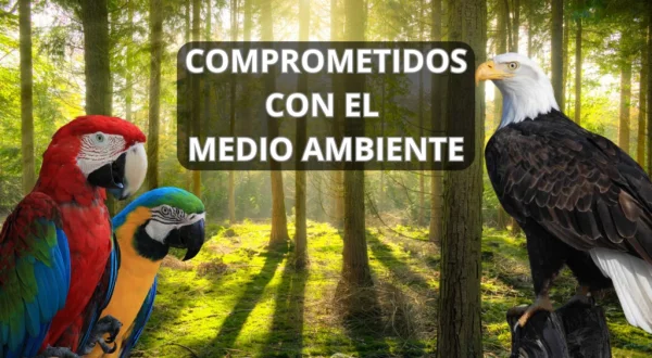 Cormprometidos con el medio ambiente