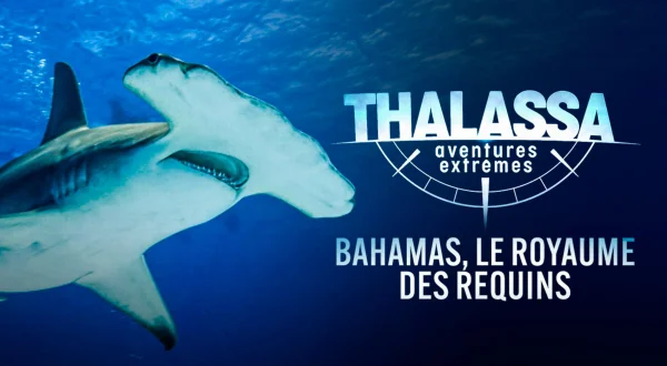 Thalassa, aventures extrêmes