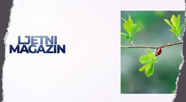 Ljetni magazin