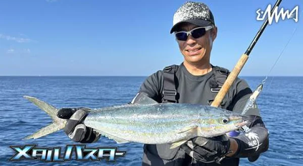 メタルバスター 43 高知県沖の島の回遊魚