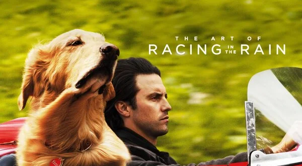 The Art of Racing in the Rain