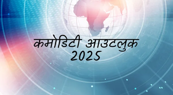 Commodity Outlook 2025