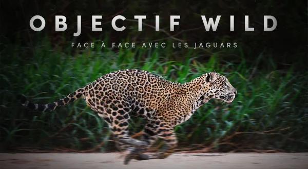 Objectif Wild