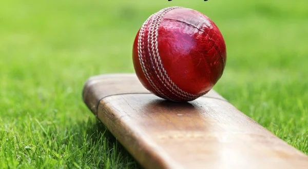 New Zealand vs India, 4th T20I; Cricket Highlights