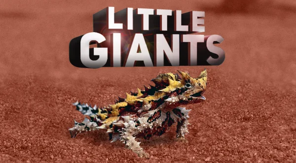 Little Giants