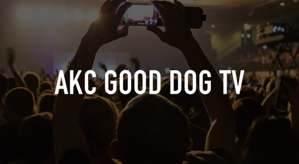 Akc Good Dog Tv