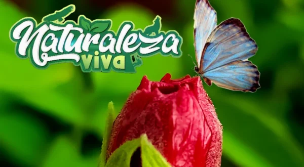 Naturaleza viva