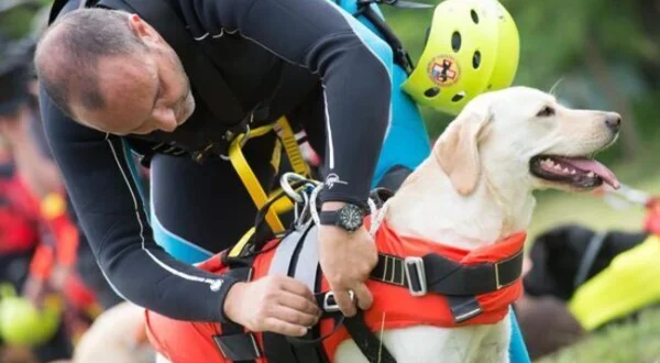 La vita segreta dei cani