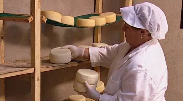 El queso campurriano. Receta y elaboración artesanal de este famoso alimento