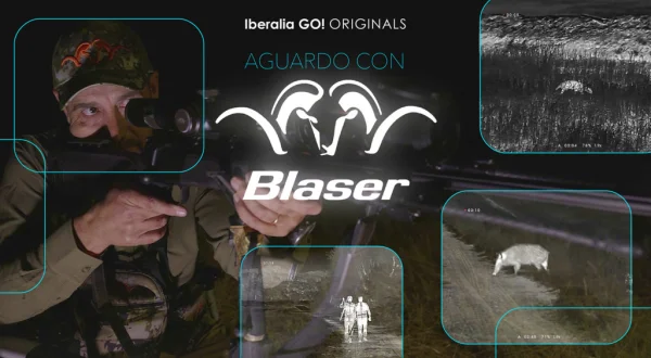 Aguardo con blaser