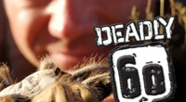 Deadly 60