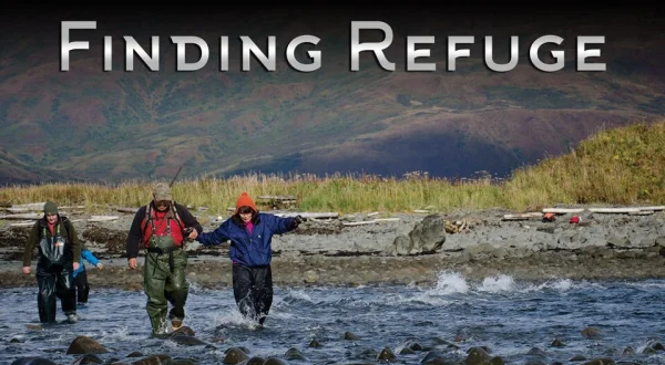 Finding Refuge
