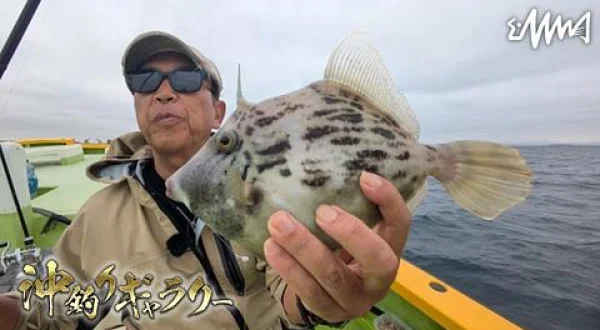 沖釣りギャラリー 東京湾カワハギ釣果倍増テクニック