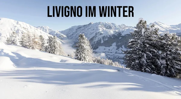 Livigno im Winter