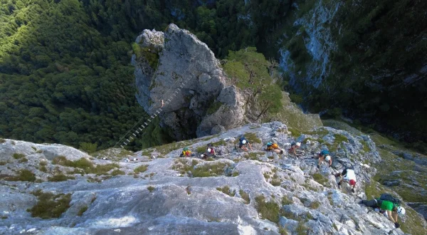 Österreich-Bild