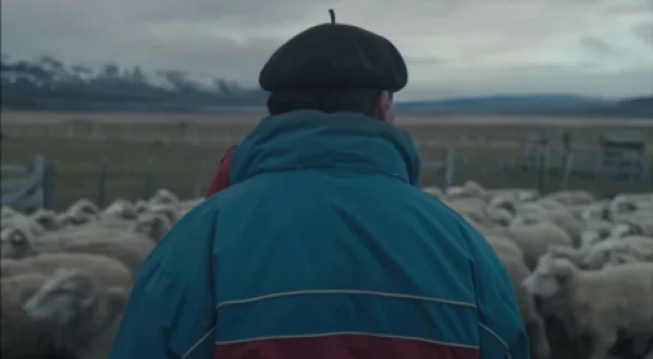 Campesinos