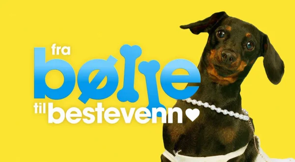 Fra bølle til bestevenn