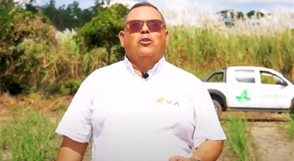 Santa Cruz agropecuario
