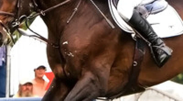 FEI World Cup Jumping
