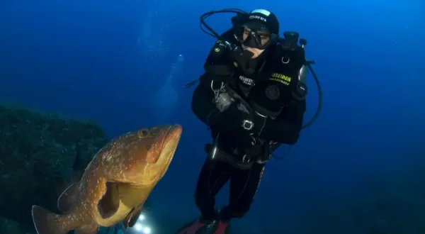 Les secrets de la Méditerranée